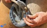تعویض نعل اسب در آمریکا از نمای نزدیک
