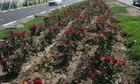 سرقت فوق عجیبی که فقط در ایران اتفاق می‌افتد!