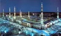 مهمانان ناخوانده صحن مسجدالنبی(ص)