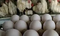 حمله کیهان به دولت برای مرغ و تخم‌مرغ 