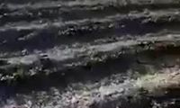 فرمانده طالبان همسرش را با هلی‌کوپتر به خانه بخت برد