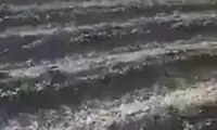 فرمانده طالبان همسرش را با هلی‌کوپتر به خانه بخت برد