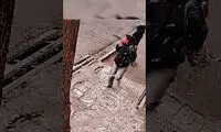 لحظه هولناک سرقت گوشی آیفون در جنوب تهران