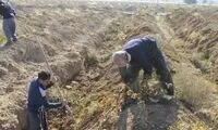 خنده‌های عجیب کشاورزی که باغش را سرما زده!