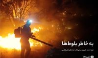 حفاظت از میراث زاگرس با مشارکت در طرح حمایتی به خاطر بلوط‌ها