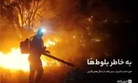 حفاظت از میراث زاگرس با مشارکت در طرح حمایتی به خاطر بلوط‌ها