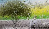 استان‌هایی که برفی و بارانی می‌شوند