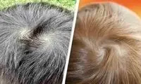 جهت پیچش موهای افراد نشانه چیست؟