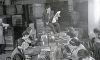 از «جارچی» تا «موش‌گیر»؛ شغل‌هایی که منقرض شدند