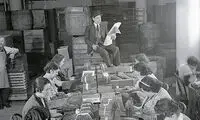 از «جارچی» تا «موش‌گیر»؛ شغل‌هایی که منقرض شدند