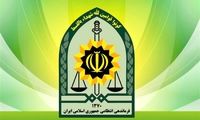 توضیح پلیس درباره بازداشت یکی از بازیگران معروف