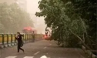 هواشناسی استان تهران اطلاعیه داد