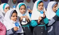 وضعیت «شیر تو شیر» توزیع «شیر» در مدارس!