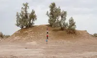 بلندترین «گلدان صحرا» در ایران +عکس