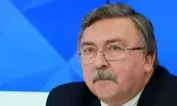 اولیانوف توئیت توهین‌آمیز علیه ظریف را حذف کرد