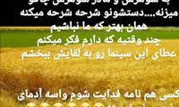 بهنوش بختیاری: شاید از سینما خداحافظی کنم