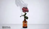 ۵ تا ۲۵ سال حبس برای مرتکبین اسیدپاشی