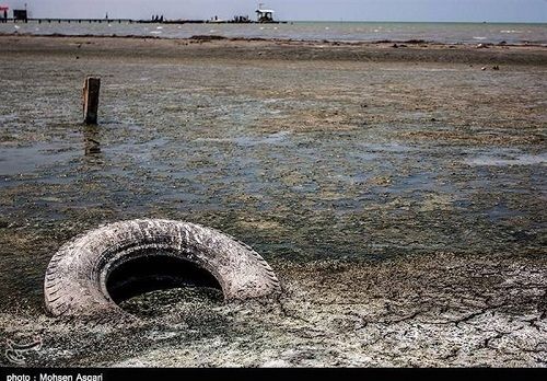 ۳۰ درصد خلیج گرگان خشک شد