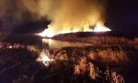 تالاب انزلی دوباره شعله ور شد