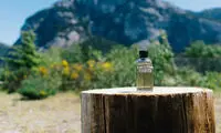تکنولوژی‌ای برای تبدیل دی اکسید کربن به سوخت