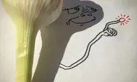 تصاویری بسیار دیدنی از نقاشی با سایه اشیا