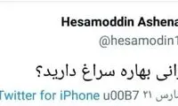 واکنش کنایه‌آمیز آشنا به جنجالِ عبای روحانی