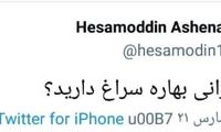 واکنش کنایه‌آمیز آشنا به جنجالِ عبای روحانی