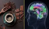 درباره ارتباط قهوه و شکلات با هوش انسان