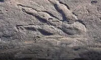 فسیل ۲۲۰میلیون ساله؛ کشف کودک ۴ساله