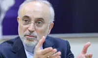 صالحی: با وجود تحریم‌ها تسلیم نشدیم