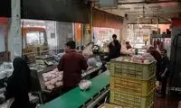 خروج مرغ از تهران ممنوع شد