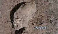 تصاویر اسکلت هایی با جمجمه‌ از شکل افتاده!
