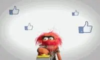 فیس بوک، دکمه GIF را اضافه می کند
