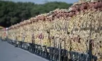رقم حقوق سربازان از بودجه حذف شد!