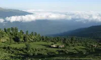 راهنمای جمع‌وجور برای ایرانگردی در تابستان