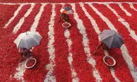 عکس روز نشنال جئوگرافیک؛ زمینی هم چو خورشید سوزان