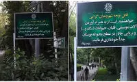 بردن ساز به پارک‌ها آزاد شد؟