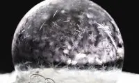 زیبایی خیره کننده حباب صابون!