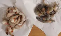 روش پاک کردن و طبخِ میگو