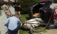 جانگداز روز؛ اسبی که در نقش‌جهان از حال رفت