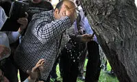 جوشش آب از تنه درخت در همدان! +عکس