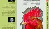 انواع مردان را بشناسید