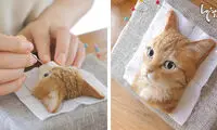 گربه‌های فوق العاده واقعی هنرمند ژاپنی از جنس نمد
