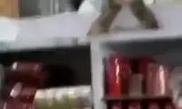 گزارش یه کُشتی جذاب و دیدنی!