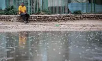 عکس: بارش باران و آبگرفتگی در بوشهر
