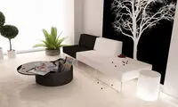 ترکیب سیاه و سفید در دکوراسیون داخلی منزل