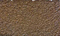 شرکت دخانیات ایران
