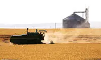 از سلطان جو هم رونمایی شد