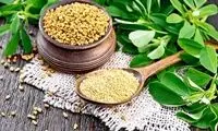 چربی‌ خونِ خود را با این گیاه درمان کنید