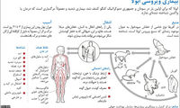 همه‌ چیز درباره خطرناک‌ ترین‌ ویروس‌ جهان